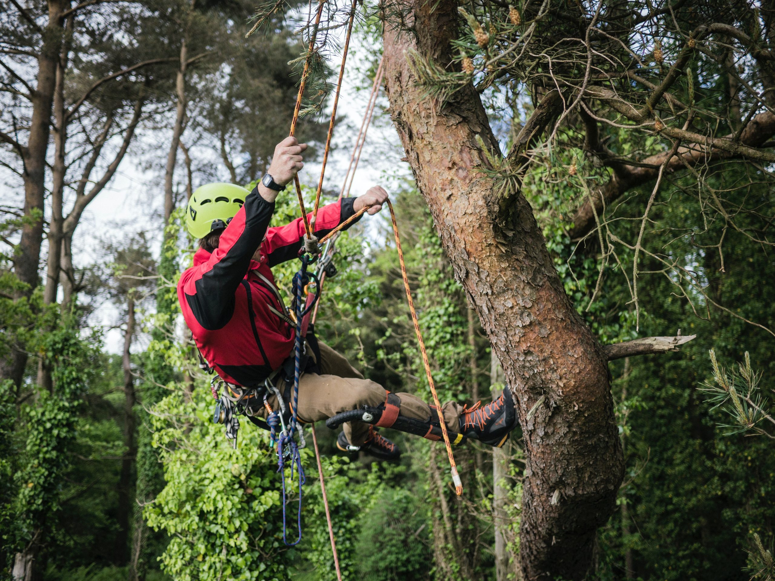 Tree Climbing and Aerial Rescue (CS38) Bridgwater & Taunton College