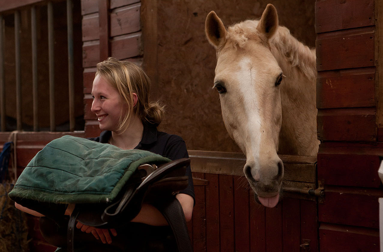 Equine Care Technical Certificate Level 2 Bridgwater & Taunton College