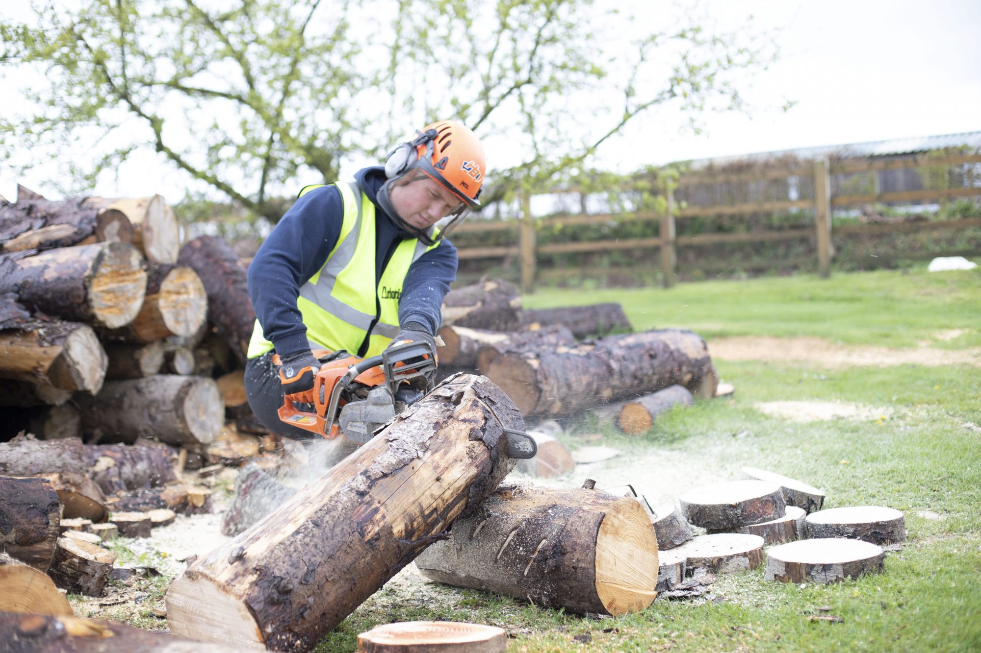 Chainsaw Maintenance and CrossCutting Level 2 Award (formerly CS30