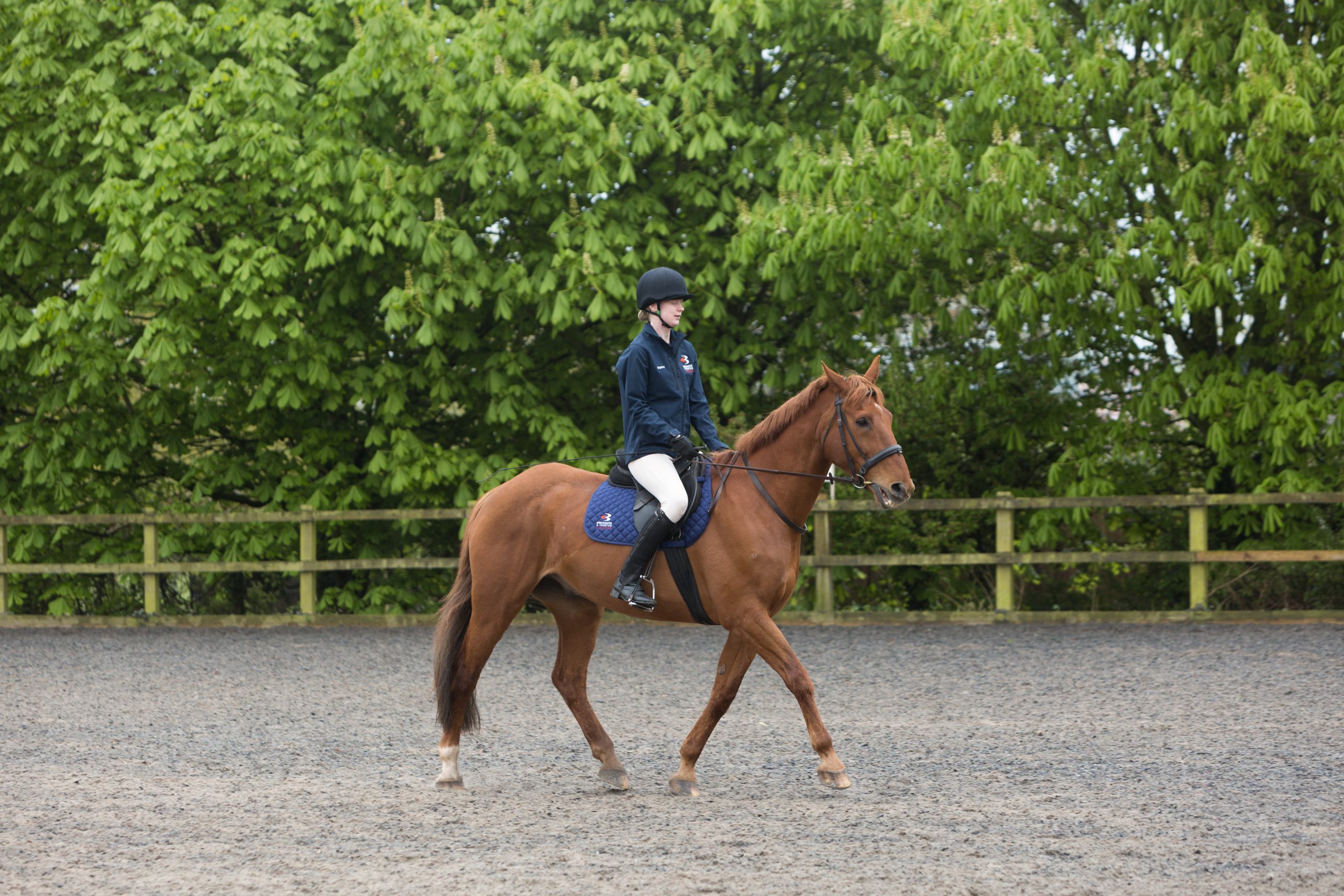 What's on Bridgwater & Taunton College