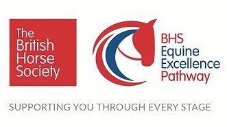 The British Horse Society (BHS) logo and certification