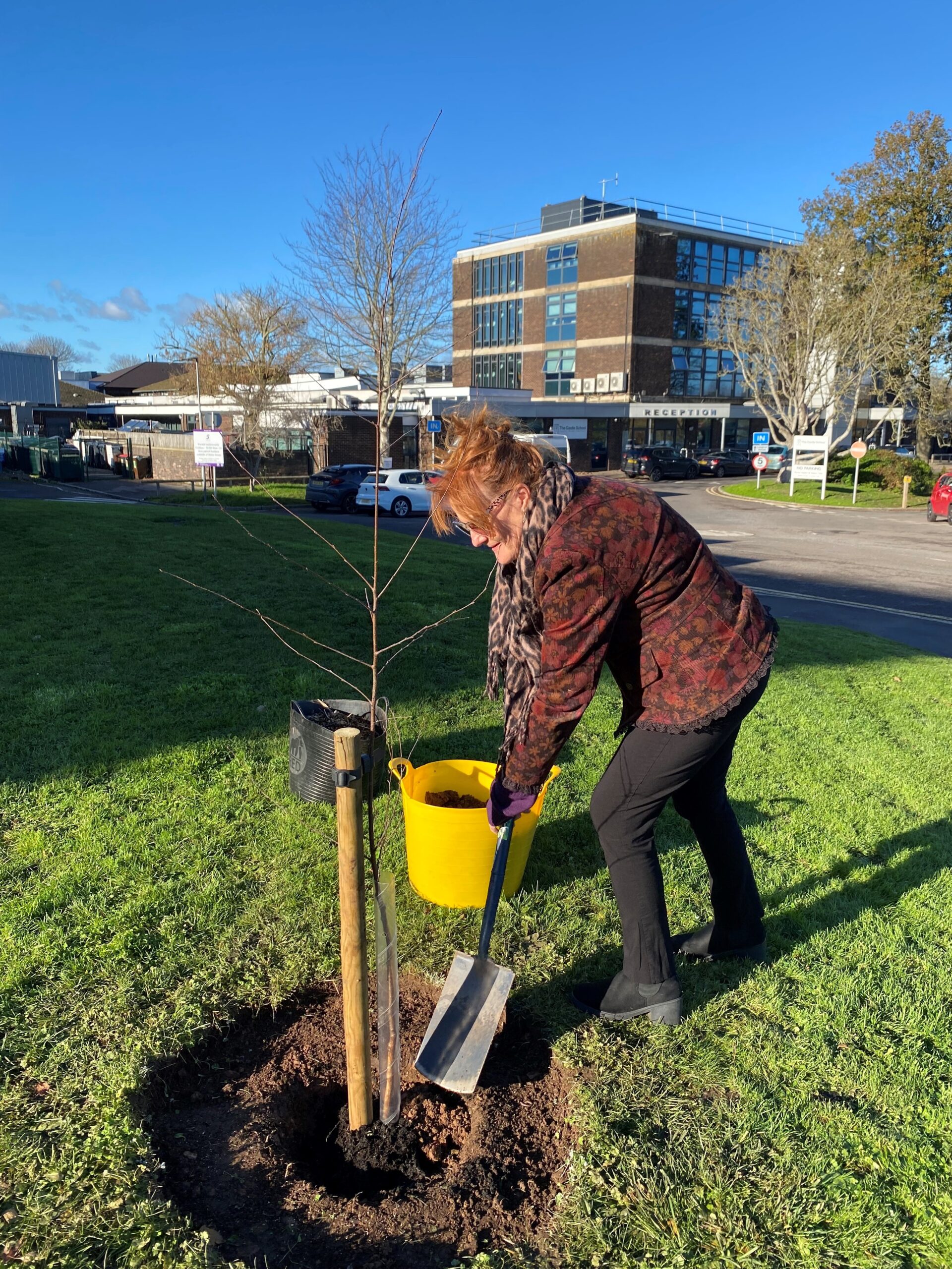 Taunton College Principal planting a tree